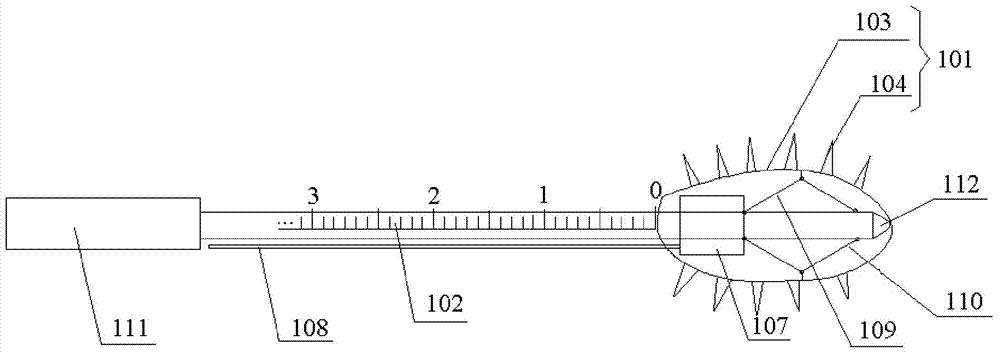 Experimental device for vascular intima injury in experimental animals