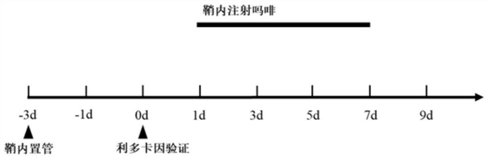 A kind of endogenous long chain non-coding rna MRAK049966 and its application