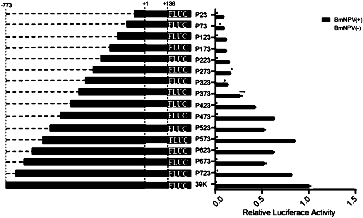 Bombyx mori nuclear polyhydrosis virus (BmNPV) inducible 39K promoter, and recombinant vector and application thereof