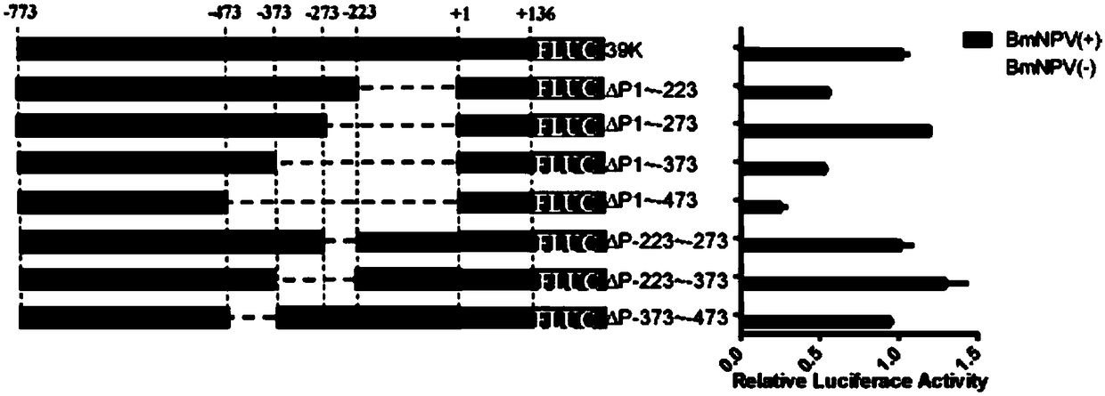 Bombyx mori nuclear polyhydrosis virus (BmNPV) inducible 39K promoter, and recombinant vector and application thereof