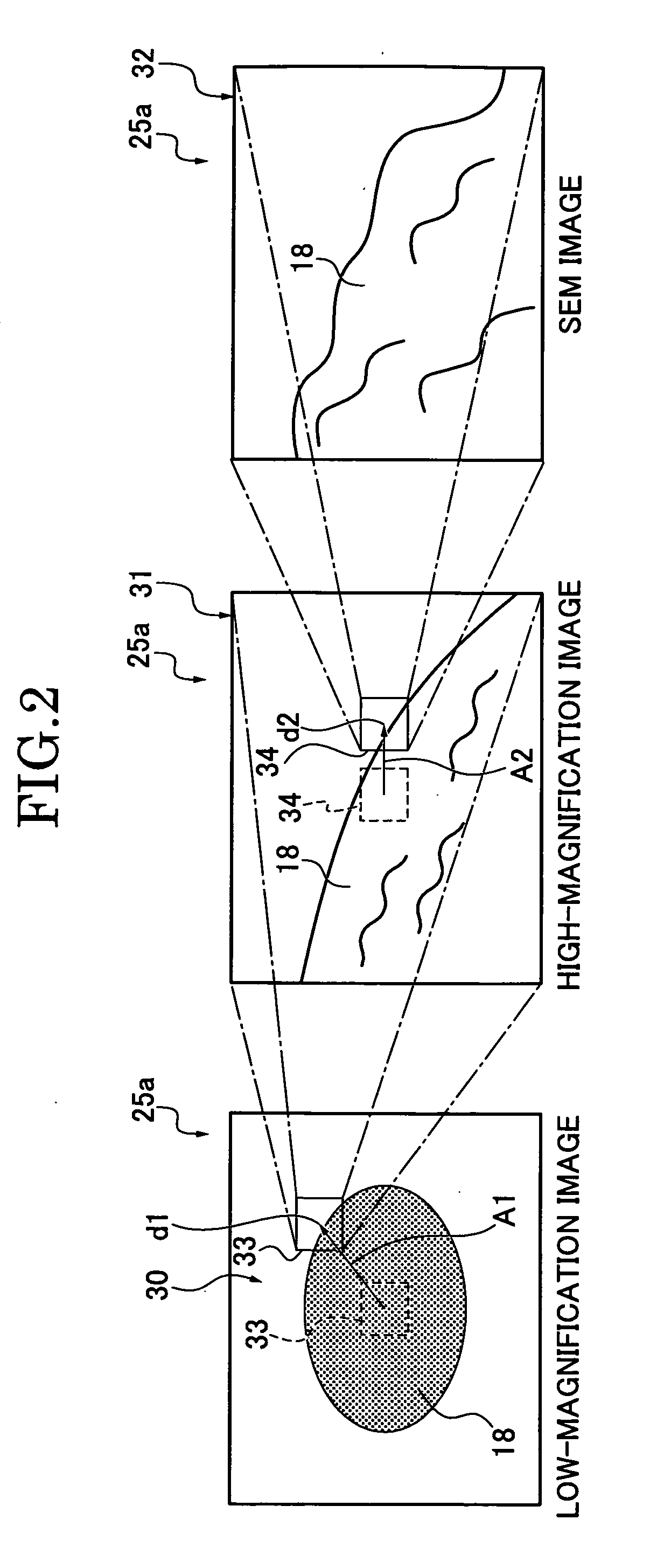 Complex type microscopic device