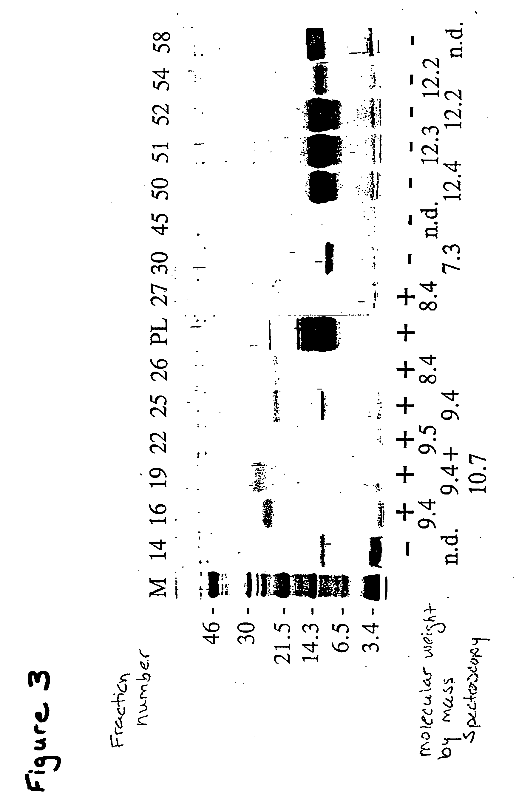 Tenebrio antifreeze proteins