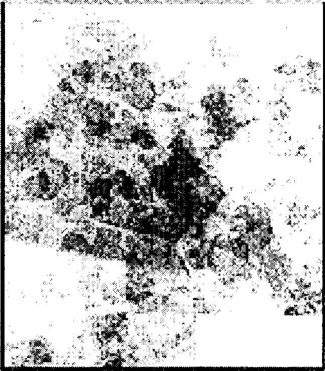 Method for producing fibrous basic magnesium chloride Mg2(OH)3Cl.4H2O3monocrystal