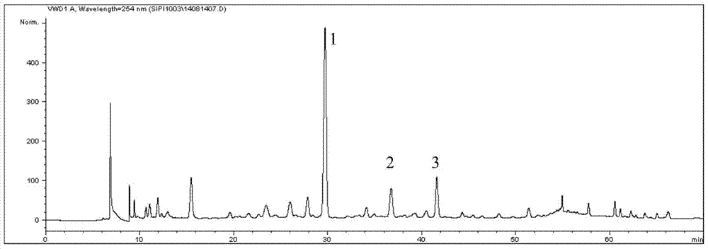 Chickweed Extract and Its Uses