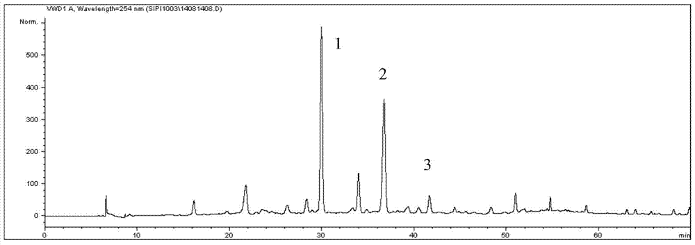 Chickweed Extract and Its Uses