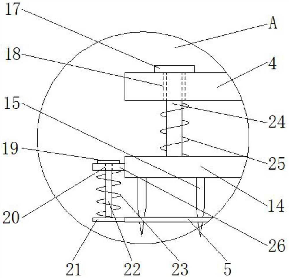 Fruit perforating equipment for making preserved fruit