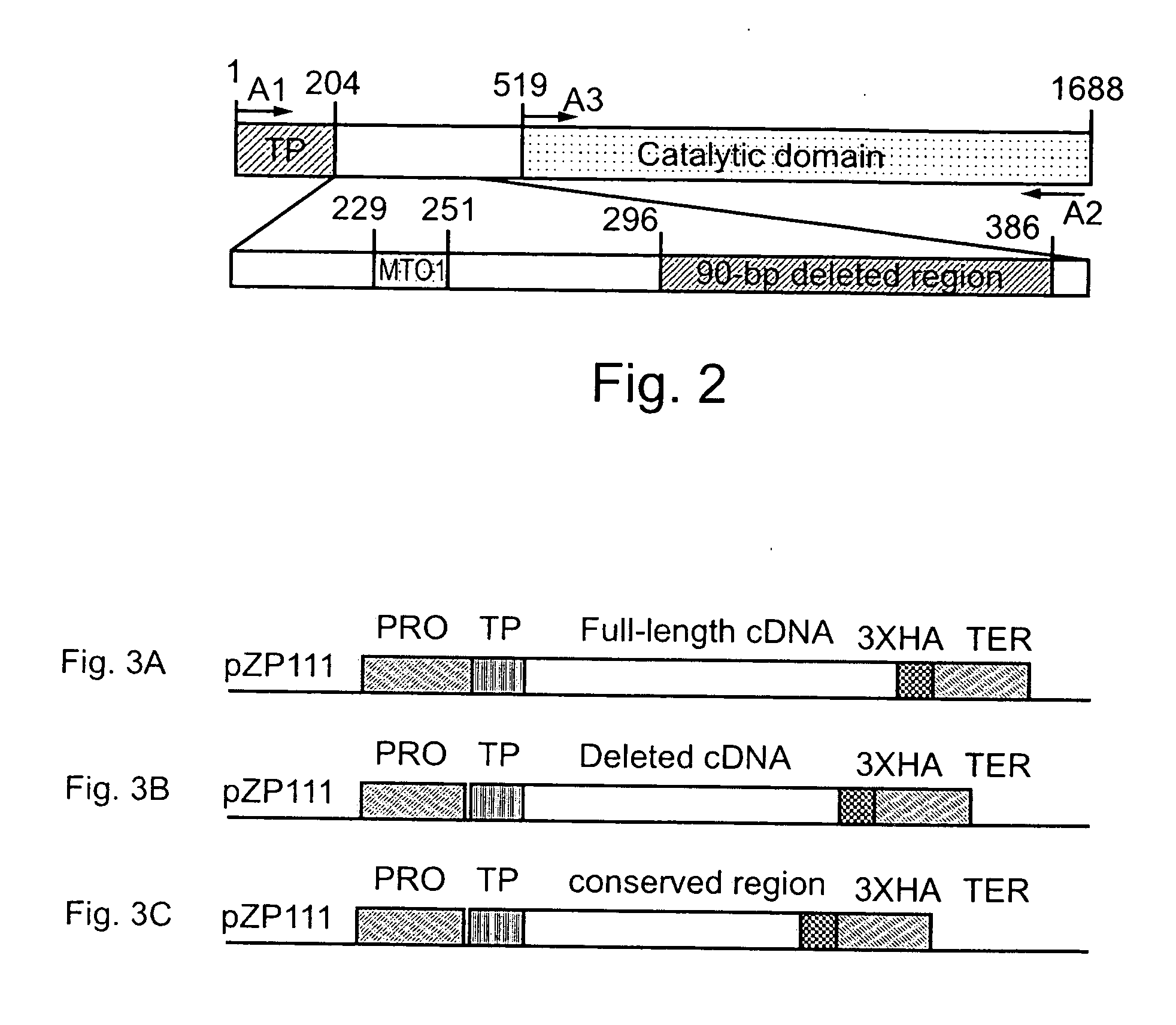 Plants characterized by an increased content of methionine and related metabolites, methods of generating same and uses thereof