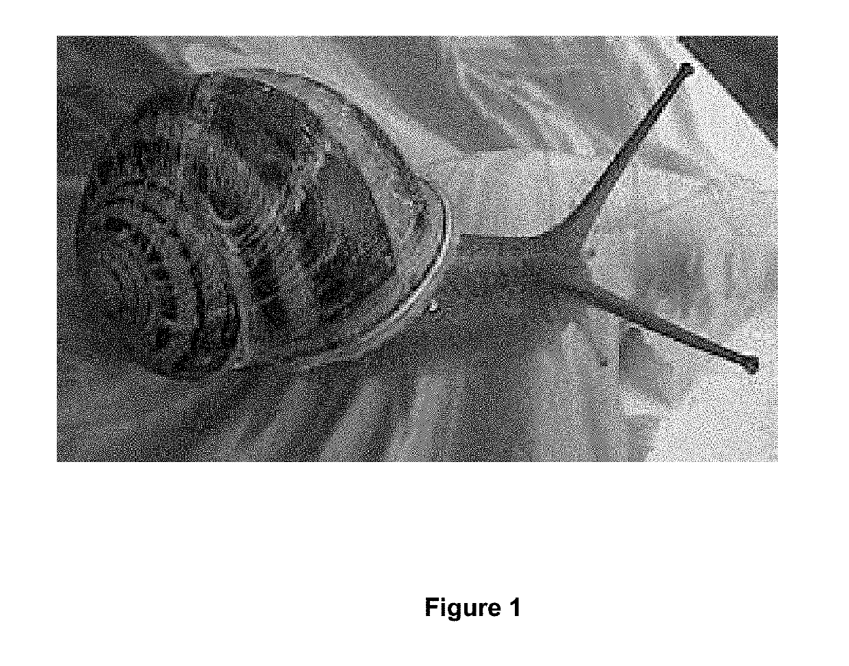 Pharmaceutical composition for preventing, treating, and curing psoriasis including snail slime, chamomile, and honey