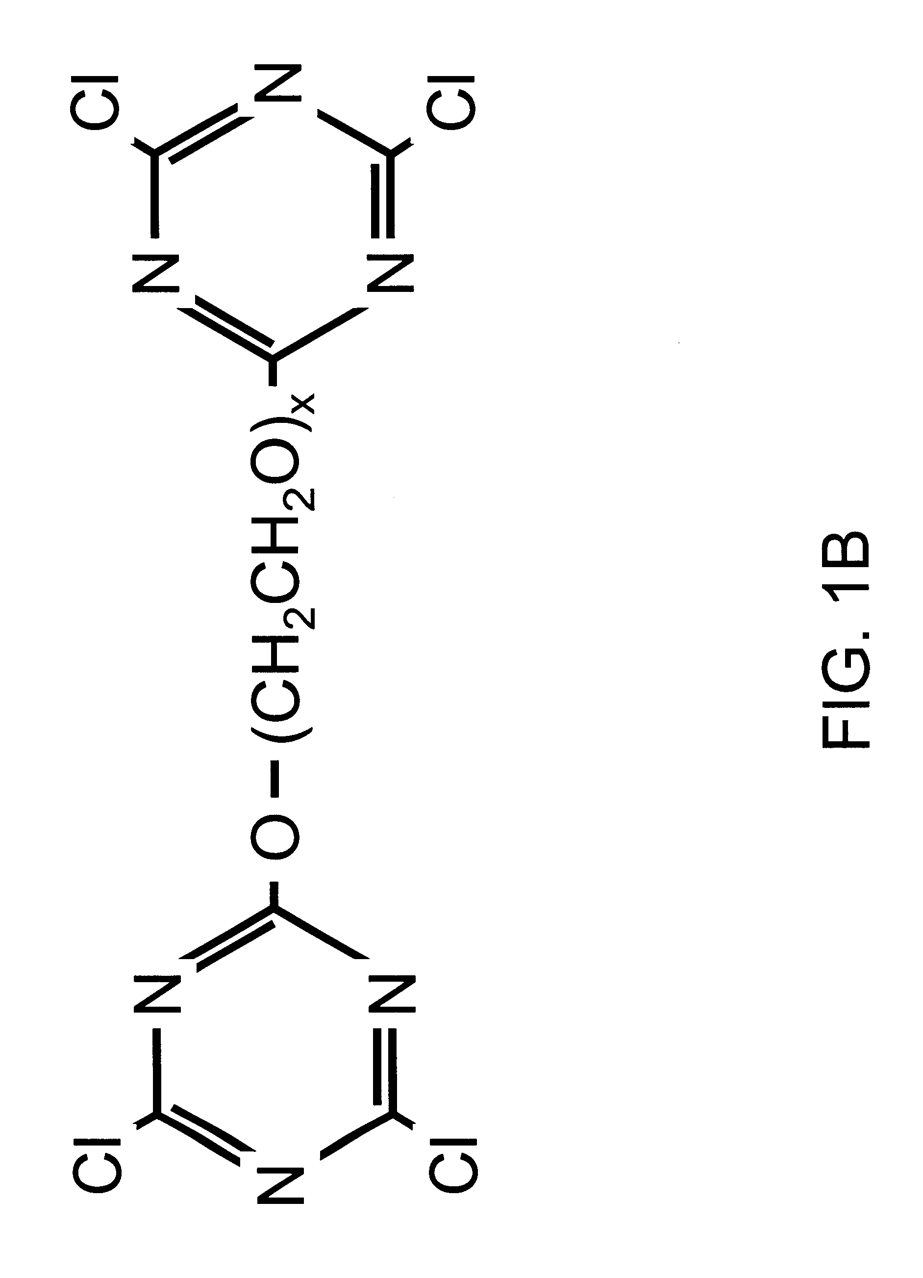 Red blood cells covalently bound with two different polyethylene glycol derivatives