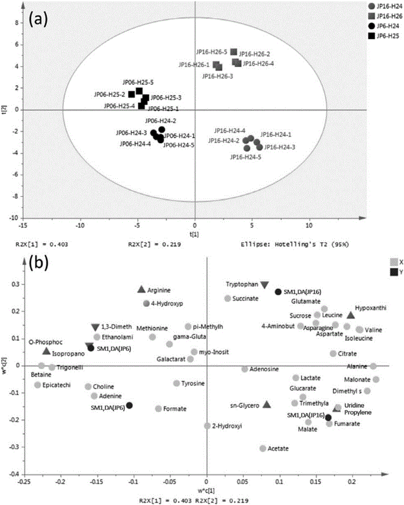 Method for determining soybean seed vigor based on nuclear magnetic resonance technique