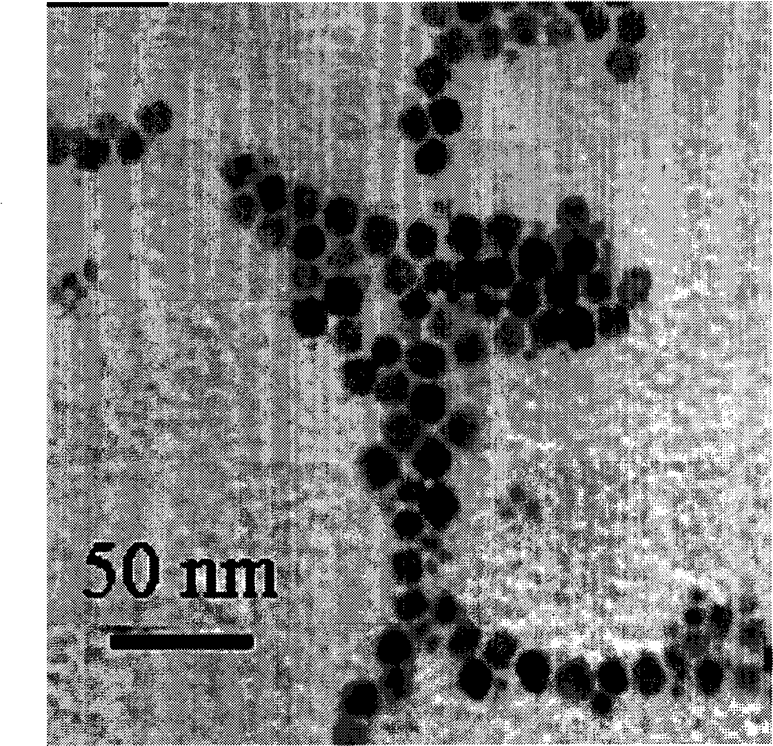 Liposome calcium sulphate composite nano artificial bone, preparation method and use thereof