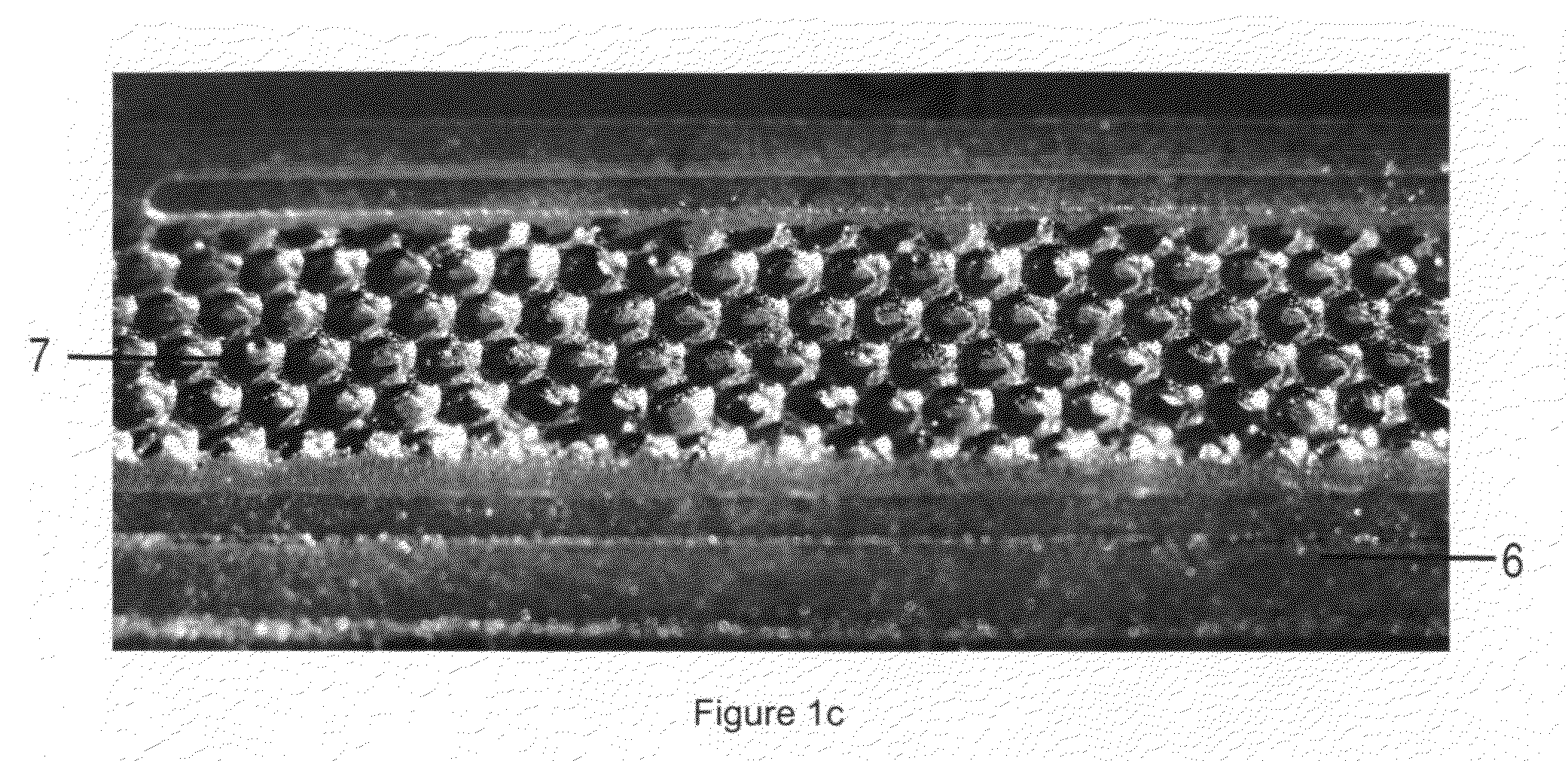 Advanced burr, applique for a burr and method of fabricating