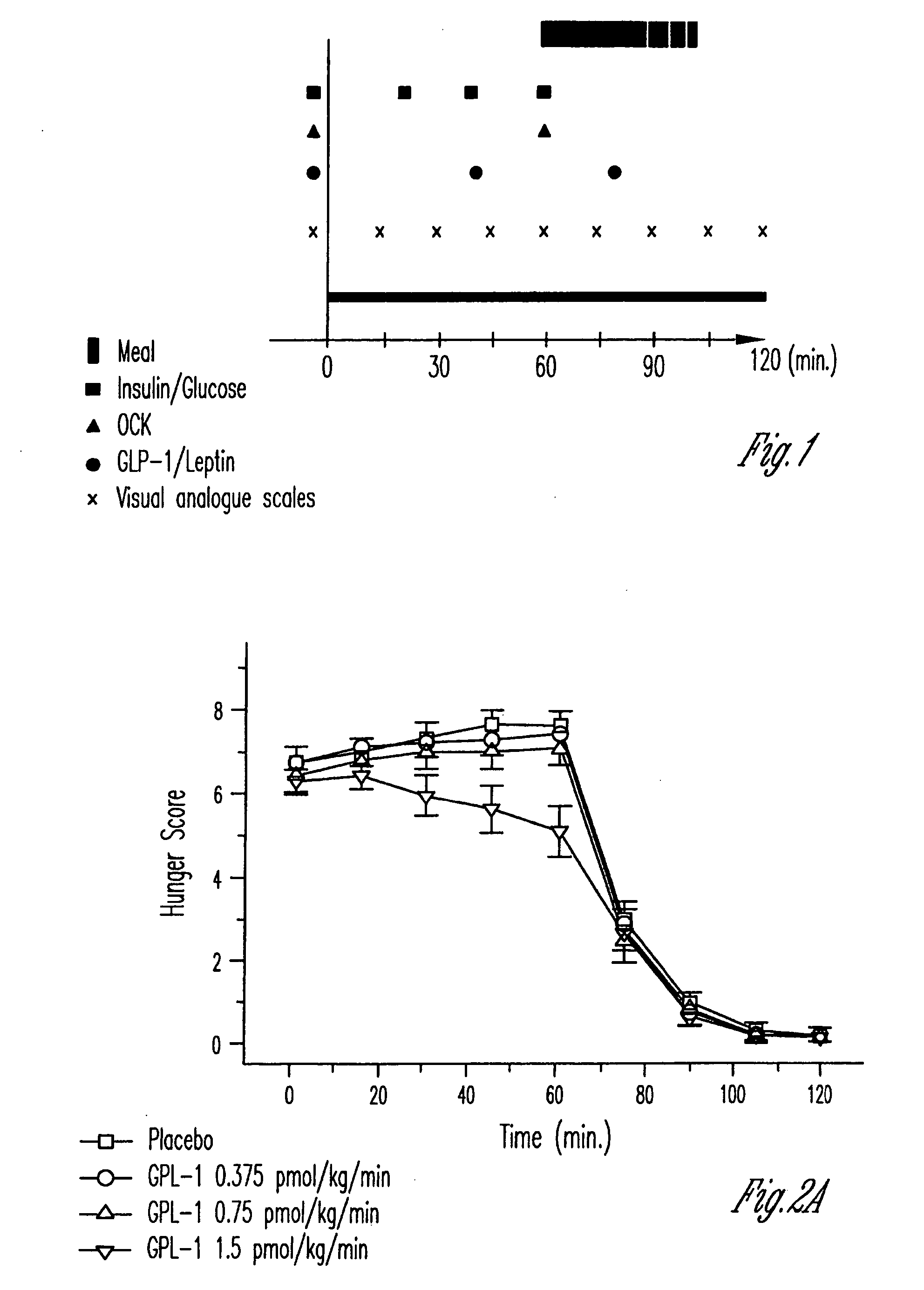 Human appetite control by glucagon-like peptide receptor binding compounds