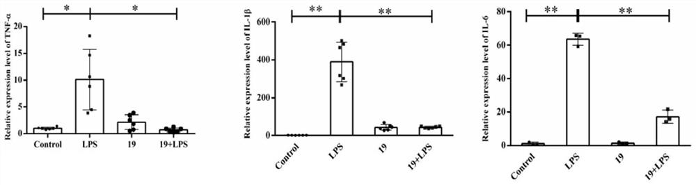 Streptococcus thermophilus and application thereof