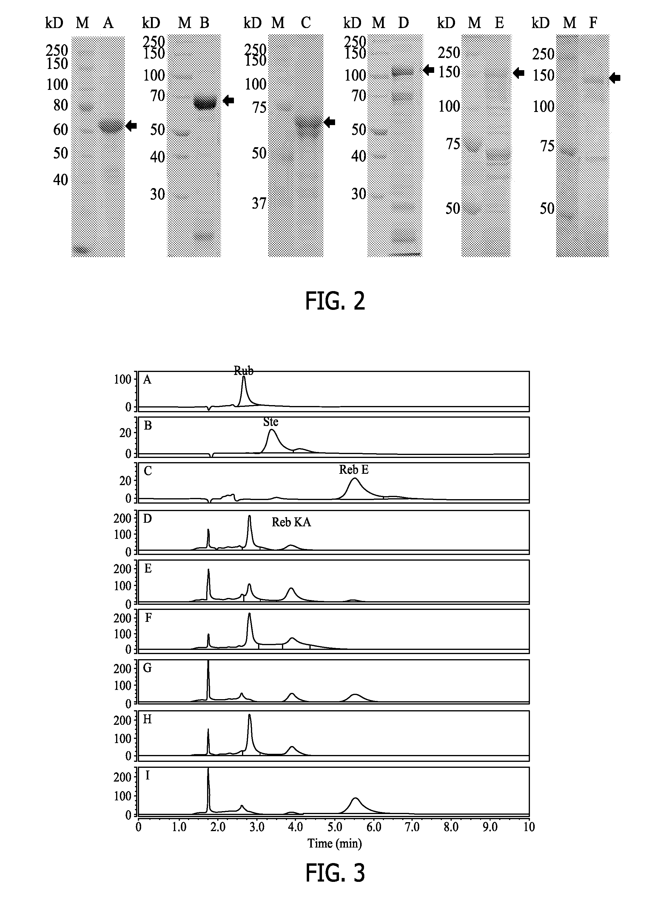 Non-caloric sweeteners and methods for synthesizing