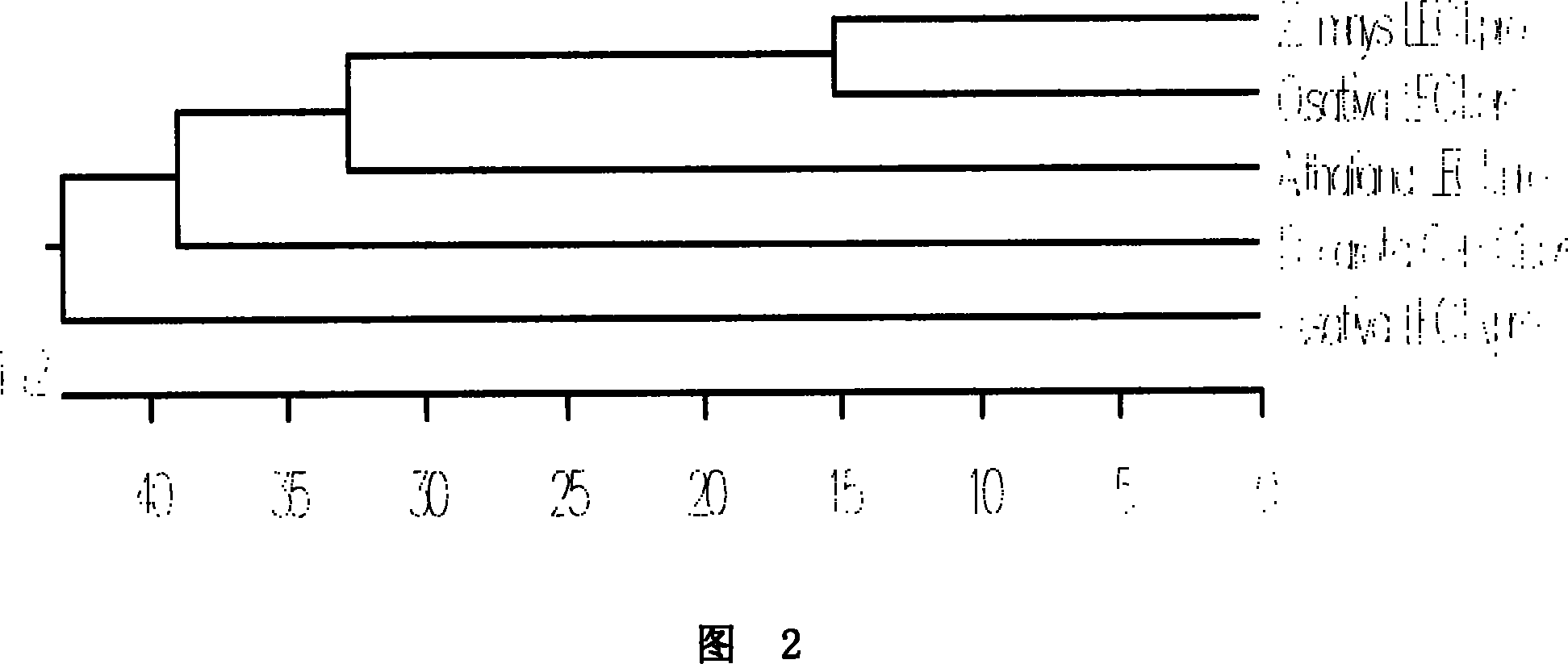 Transcription factor of regulating and controlling vegetable fatty acid metabolism and its coding gene and application