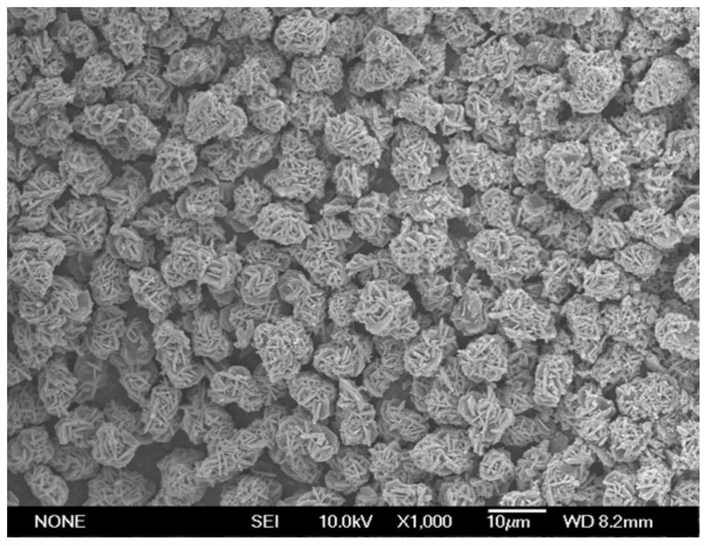 A kind of preparation method of quasi-single crystal high nickel multicomponent material