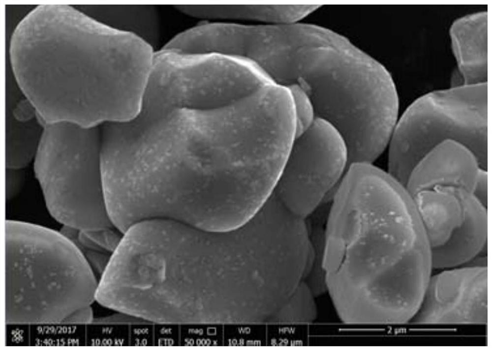 A kind of preparation method of quasi-single crystal high nickel multicomponent material