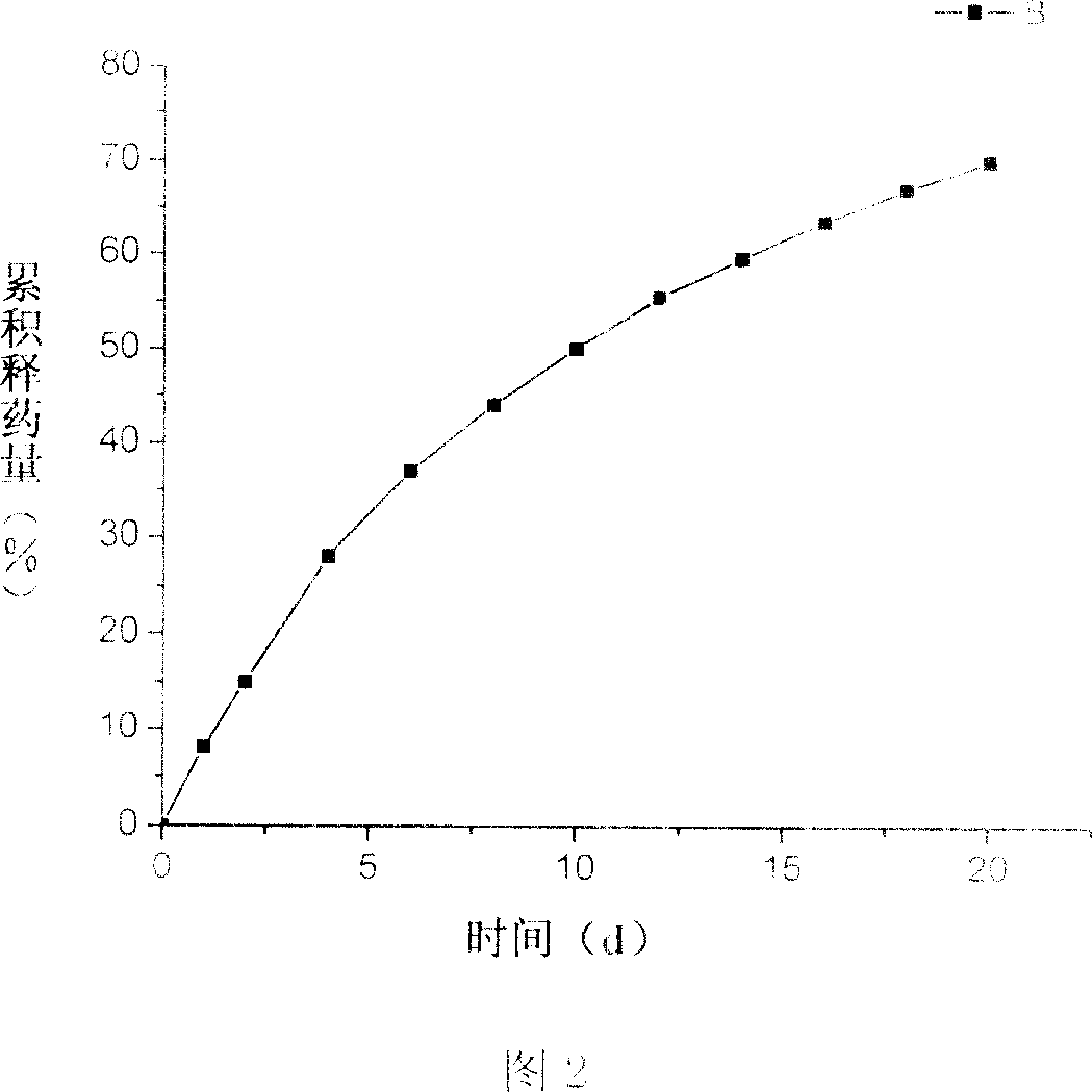 Method for preparing epirubicin slow-release prepn