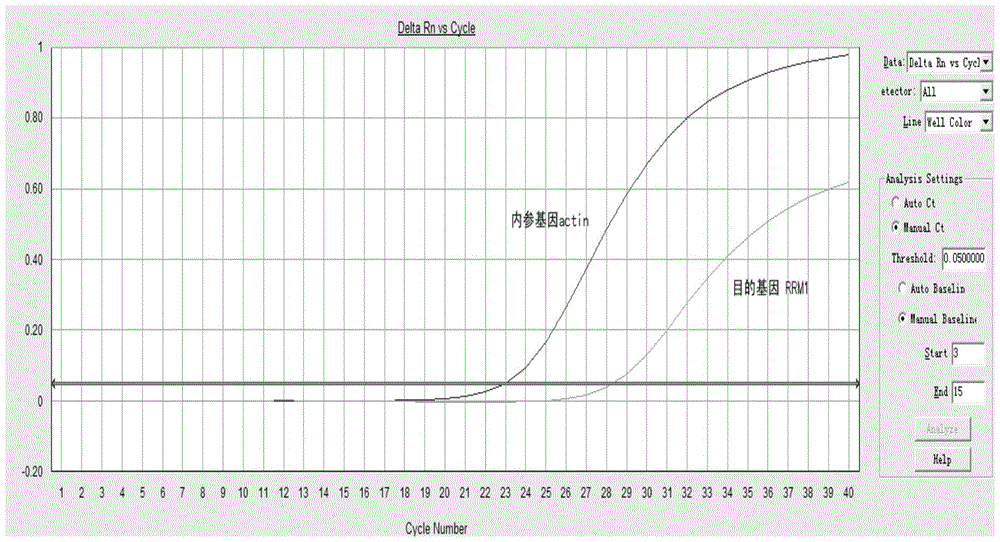 Method, kit, primers and probes for detecting relative expression of rrm1 mRNA