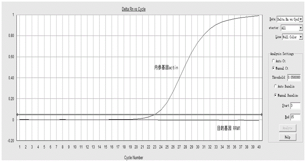 Method, kit, primers and probes for detecting relative expression of rrm1 mRNA