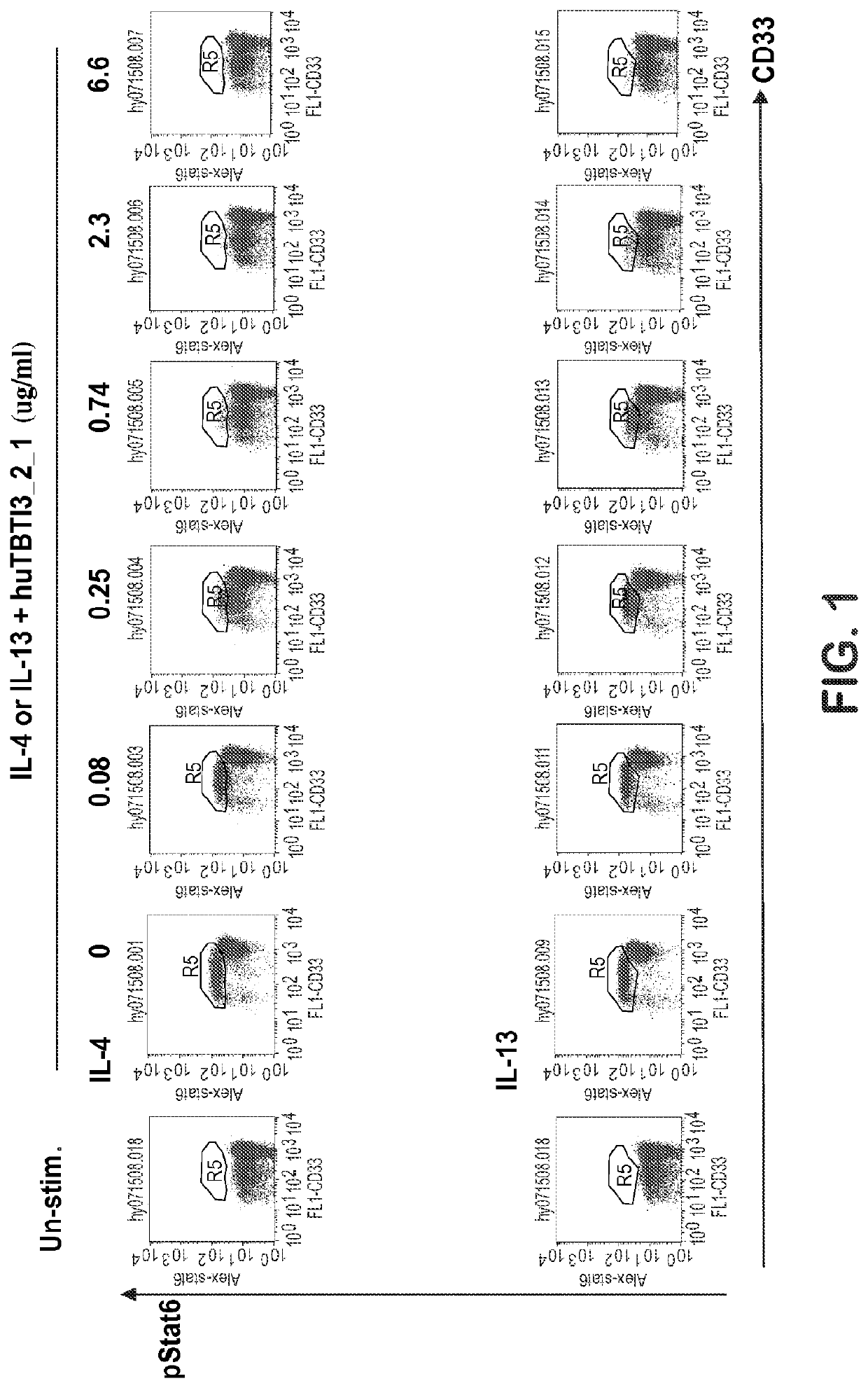 Uses of a dual V region antibody-like protein