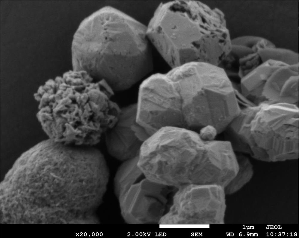 An electrochemical sensor for detecting glucose and its preparation method