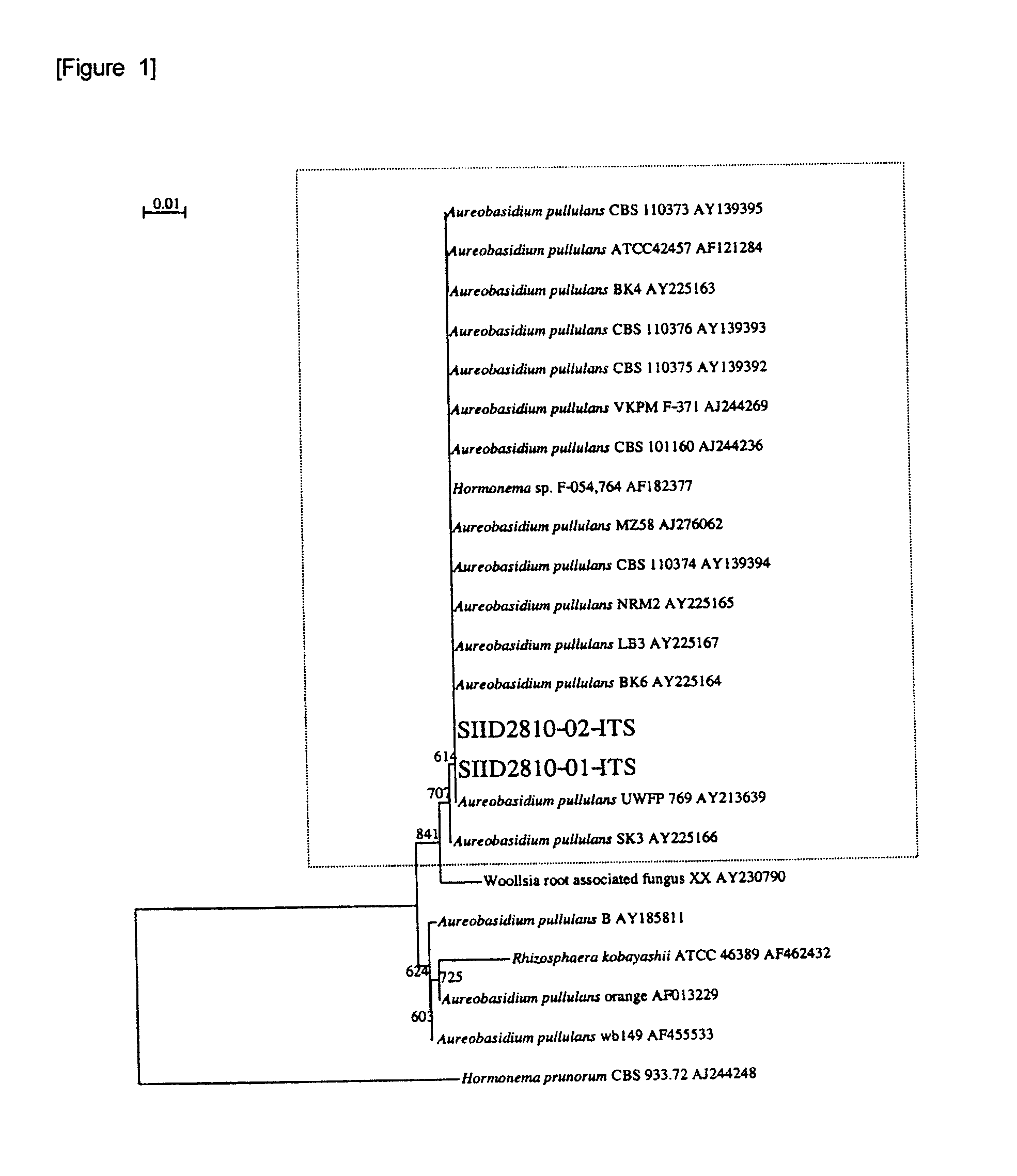 Composition containing β-glucan, method of producing the same and foods, drinks or skin moisturizers containing the composition