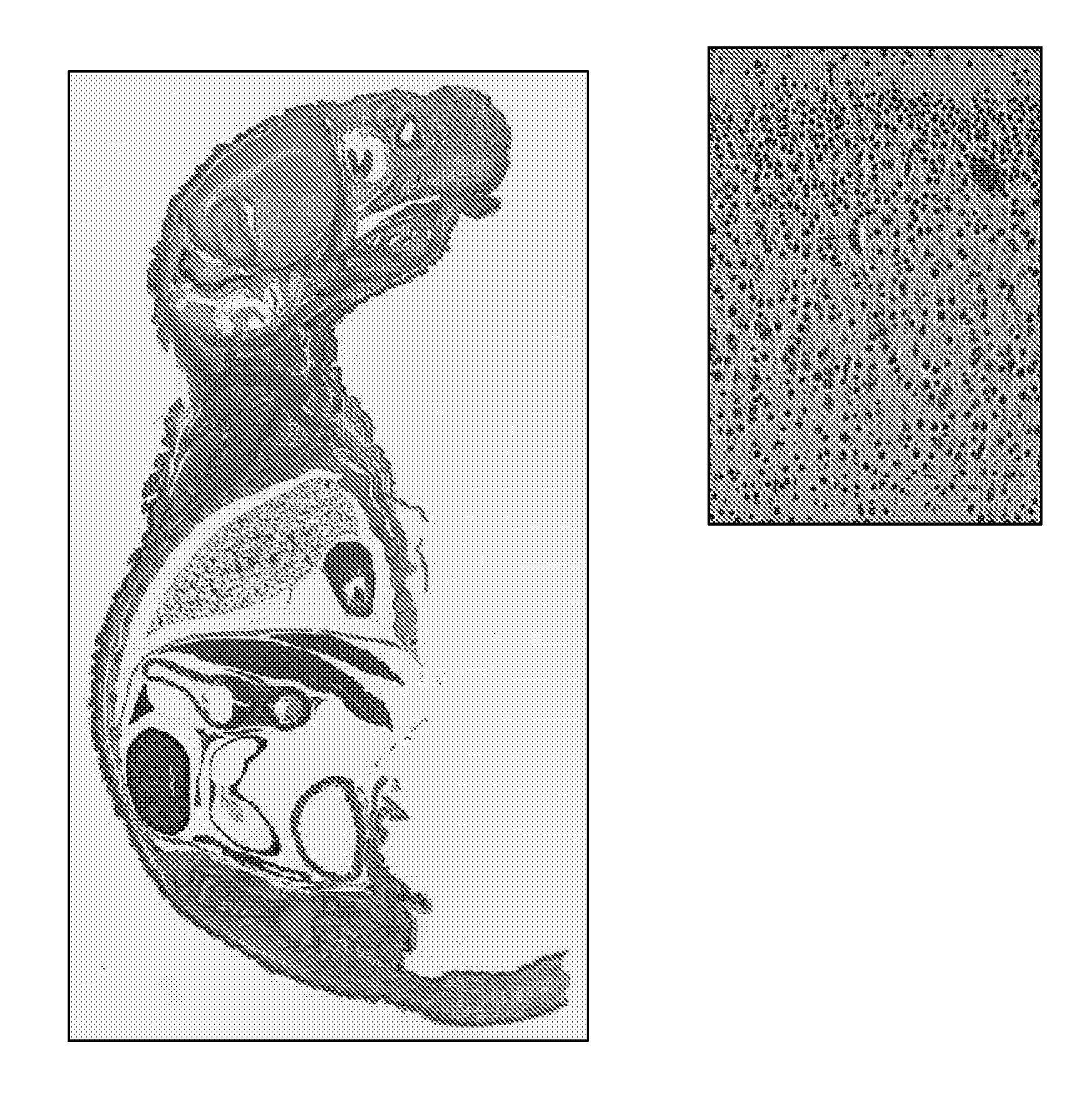 Nav1.7-related assays