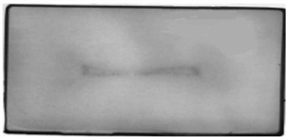 Electrolyte infiltration method of lithium ion battery