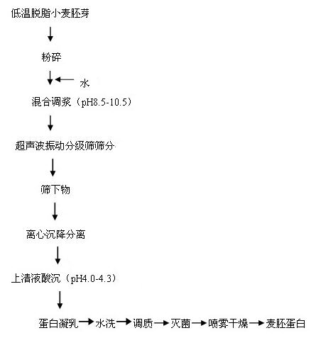 Extraction method of defatted wheat germ protein