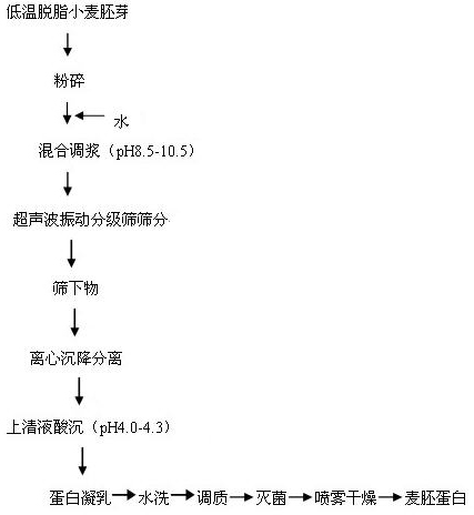 Extraction method of defatted wheat germ protein