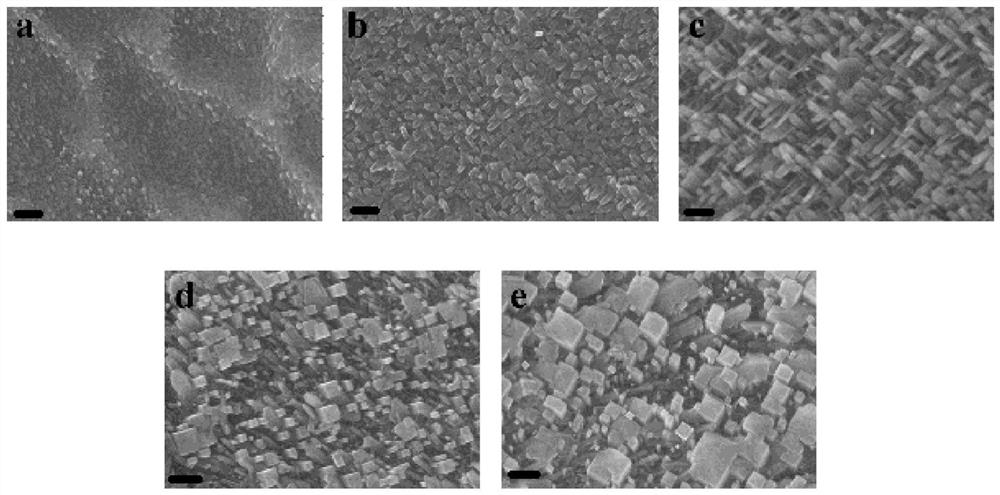 Metal material with modified surface and preparation method and application thereof