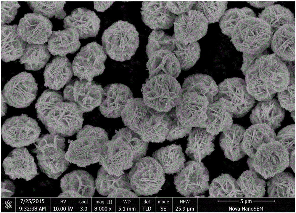 Microspheric three-dimensional grading micro-nano structure bismuth tungstate photocatalytic material and preparation method thereof