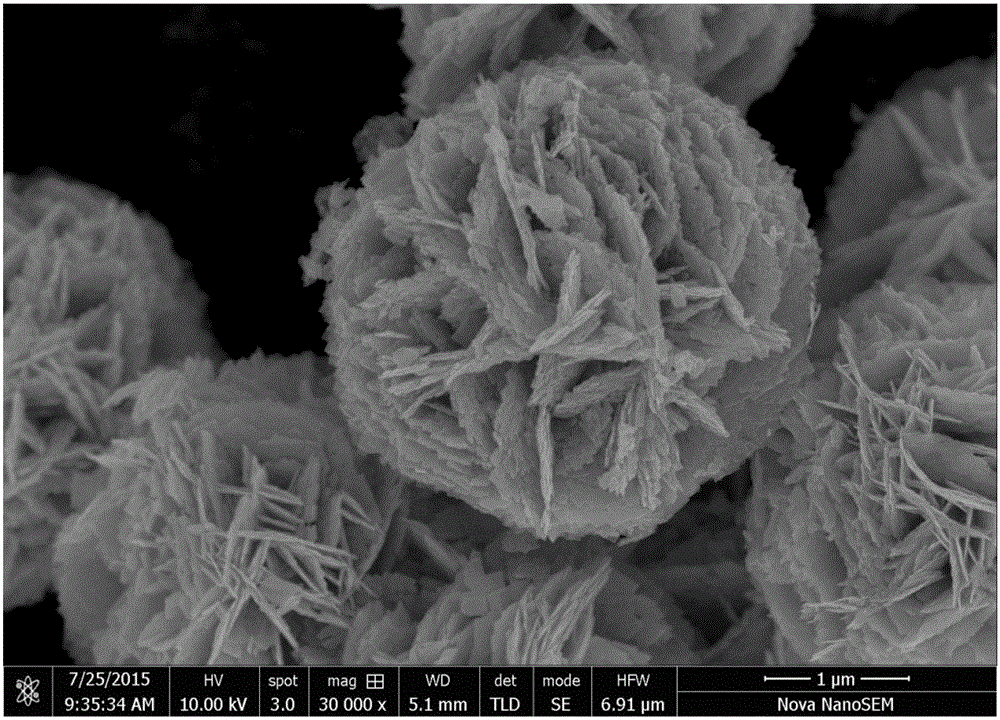 Microspheric three-dimensional grading micro-nano structure bismuth tungstate photocatalytic material and preparation method thereof