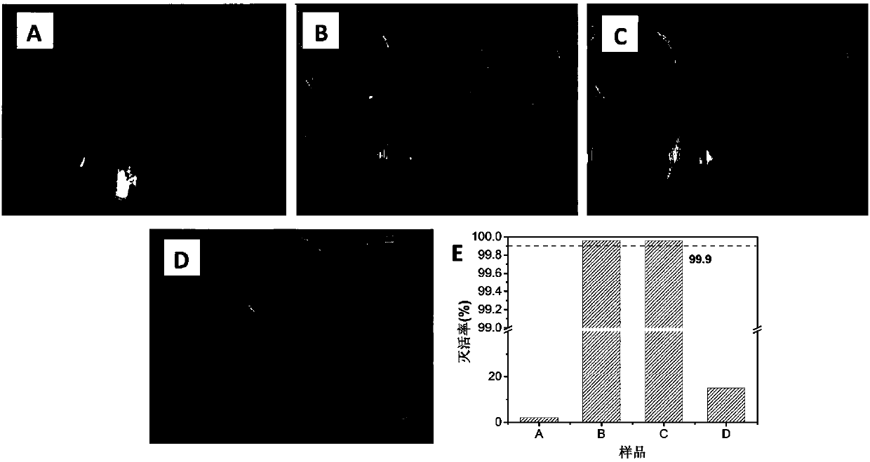 Permanent antibacterial polymer composite material and preparation method thereof