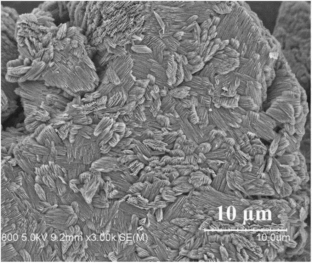 Preparation method for three-dimensional layered CoV2O6 micro-nano powder