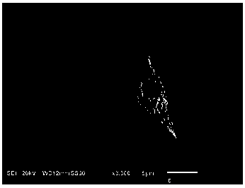 Preparation method and application of cdse quantum dot/bi12tio20 composite photocatalyst