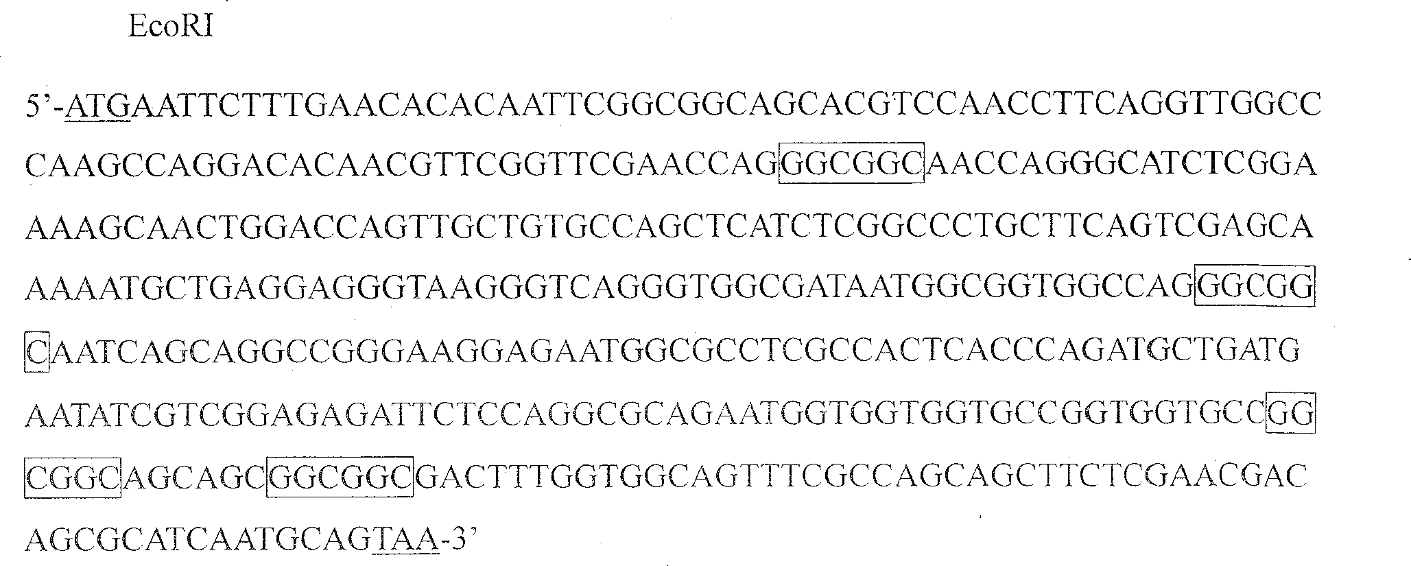 Paddy hpfr gene, expression product and application thereof