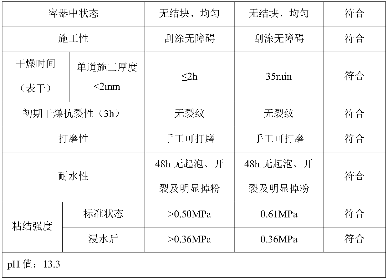 Exterior wall surface dry powder coating and preparation method thereof