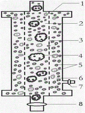 AIDS detoxification treatment instrument