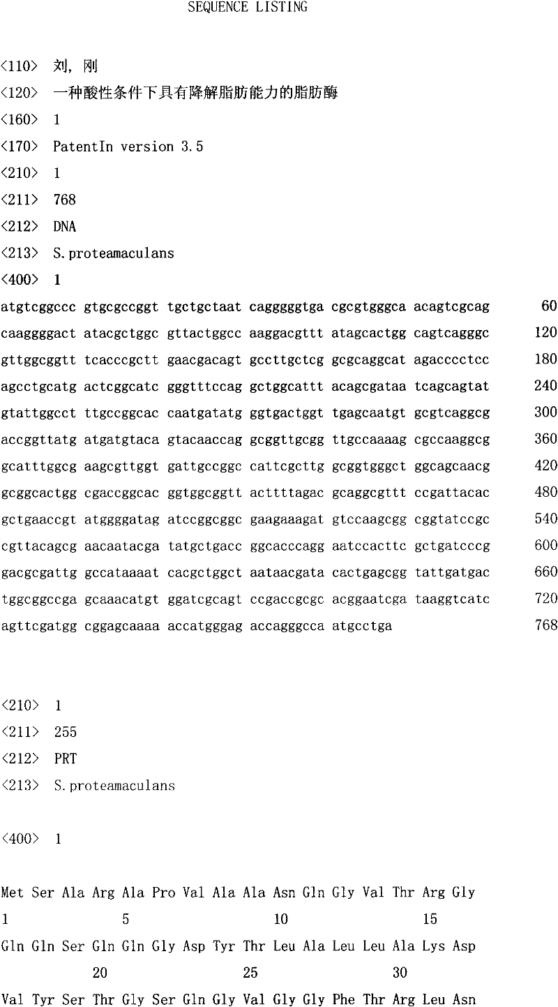 Lipase with fat degrading capability under acidic condition