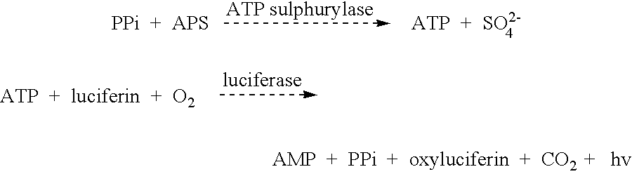 Method for determining allele frequencies