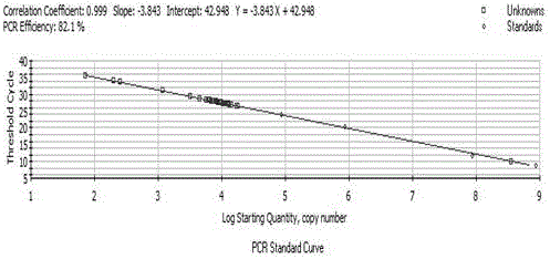 Specific primers for detection of mRNA expression level of Acidithiobacillus thiooxidans sor gene