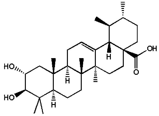 A kind of medicine for treating asthma and preparation method thereof