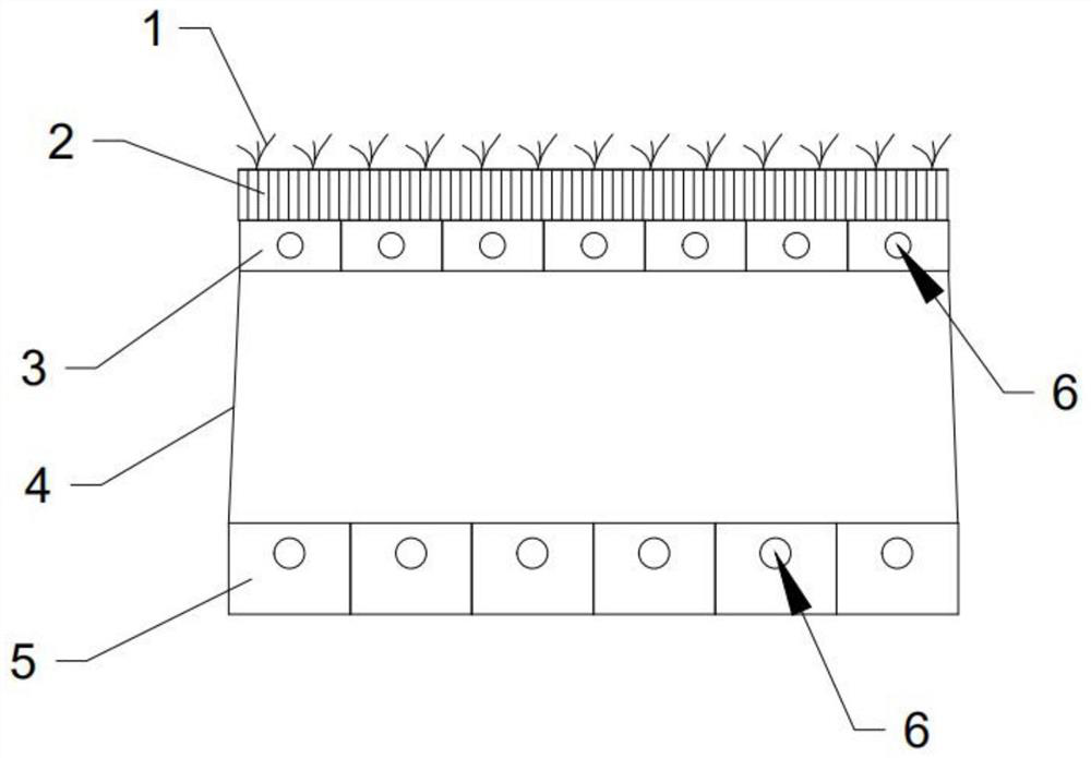 Aquatic ecosystem construction device