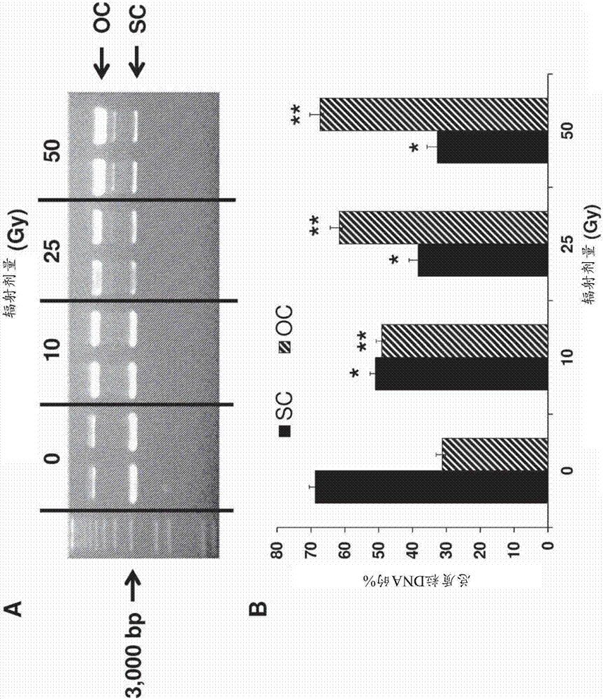 Use of secoisolariciresinol diglucosides (sdgs) and related compounds for protection against radiation and chemical damage