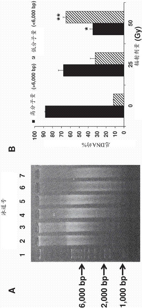 Use of secoisolariciresinol diglucosides (sdgs) and related compounds for protection against radiation and chemical damage