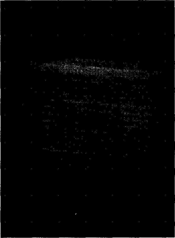 Method of focal plane array image space-time changing based on fibre-optical coupled