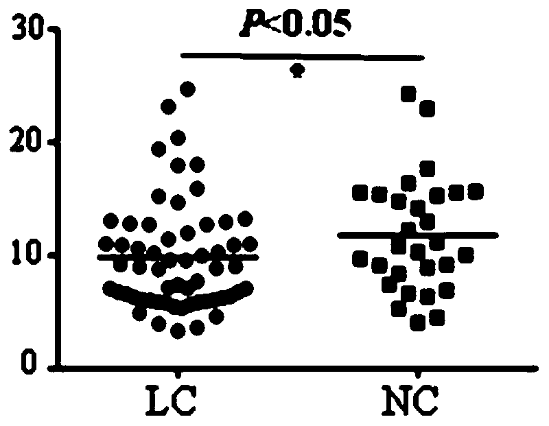 Application of TAPBP autoantibody detection reagent in preparation of lung cancer screening kit